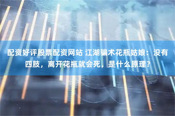 配资好评股票配资网站 江湖骗术花瓶姑娘：没有四肢，离开花瓶就会死，是什么原理？