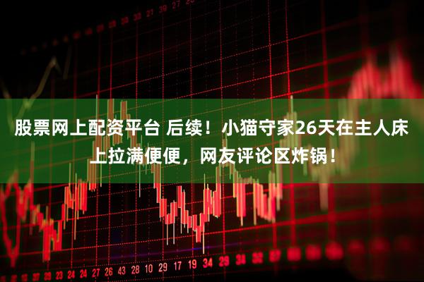 股票网上配资平台 后续！小猫守家26天在主人床上拉满便便，网友评论区炸锅！