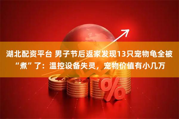 湖北配资平台 男子节后返家发现13只宠物龟全被“煮”了：温控设备失灵，宠物价值有小几万