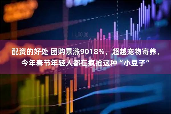 配资的好处 团购暴涨9018%，超越宠物寄养，今年春节年轻人都在疯抢这种“小豆子”